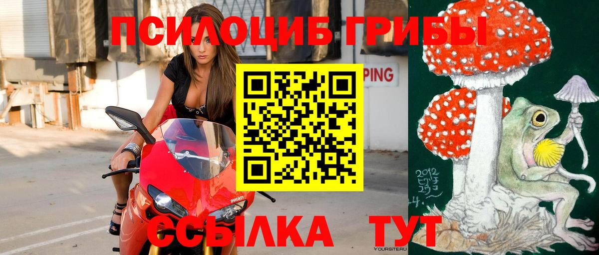 Галлюциногенные грибы MAGIC MUSHROOMS  где купить наркоту  Новоалександровск  Вход с VPN 